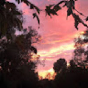 Meet your Posher, Vladimir